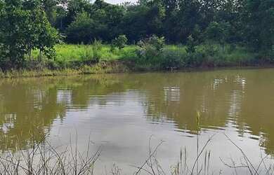 Imagem 3: A M IMOVEIS VENDE EXELENTE FAZENDA COM 13 ALQUEIRES MINAÇU-GO