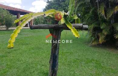 Imagem 5: Sítio em Guareí - Centro - Guareí/SP