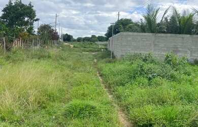 Imagem: O terreno possui 800m² de Área e está localizado em Papagaio