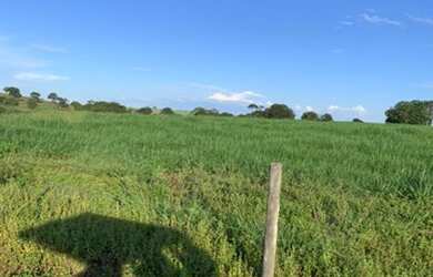 Imagem 3: Fazenda com 392 hectares Município de Filadélfia- TO