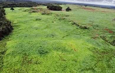 Imagem 9: Fazenda com 392 hectares Município de Filadélfia- TO
