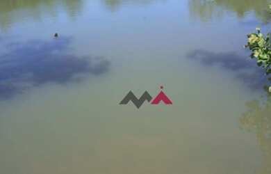 Imagem 3: Fazenda à venda, 137 Alq por R$ 2.740.000 - Zona Rural - Taguatinga/Tocantins