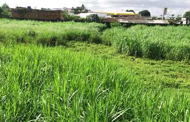 Imagem 6: Galpão/Depósito/Armazém para aluguel com 15000 metros quadrados em Tapanã (Icoaraci) - Bel