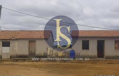 Imagem 2: Fazenda à venda Excelente para Criação de Gados,Caprinos e Ovinos e...