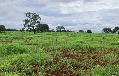 Imagem 12: Fazenda com 392 hectares Município de Filadélfia- TO