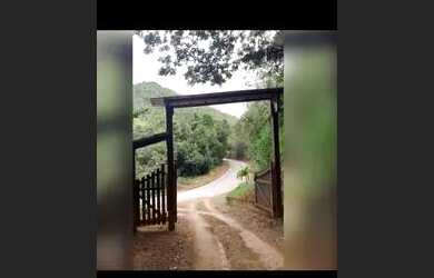 Imagem: A chácara possui 1000m² de Área e está localizado em Industrial