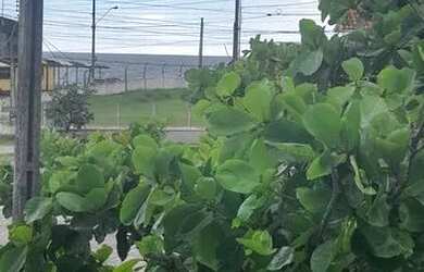 Imagem: O apartamento possui 3 Dormitórios, 1 Banheiro, 2 Vagas na