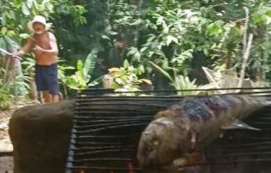 Imagem 3: Vendo sítio 20 minutos de Manaus