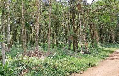 Imagem: A chácara possui 7.200m² de Área e está localizado em Parque