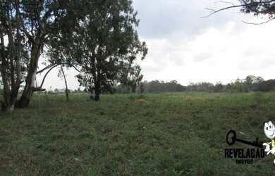 Imagem 3: Área à venda, 46767 m² por R$ 23.383.735,00 - Planta Quississana - São José dos Pinhais/PR