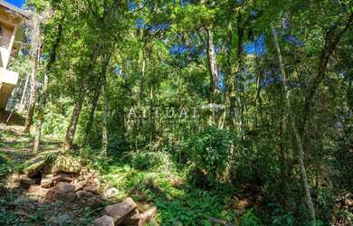 Imagem 11: GRANDE TERRENO NO BAIRRO VILA SUZANA