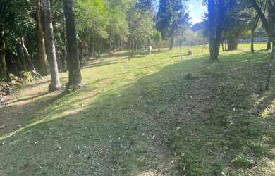Imagem 15: Sitio - Bairro Tapera. 10.000m² de Área