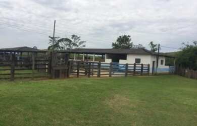 Imagem: A fazenda está localizado em Cruzeiro, SP à venda por R$5.500.000