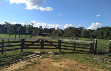 Imagem 1: Chácara com igarapé. 32.000m² de Área