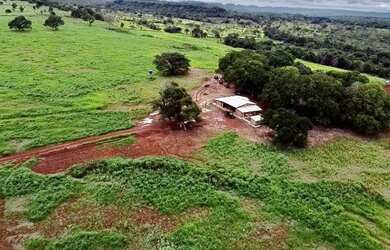 Imagem 14: Fazenda com 392 hectares Município de Filadélfia- TO