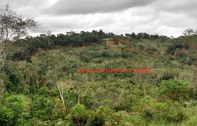 Imagem: A chácara possui 40.000m² de Área e está localizado em