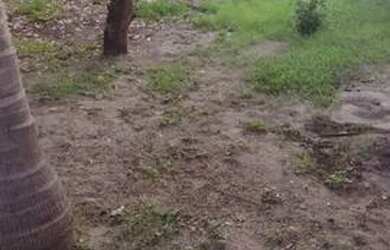 Imagem: Terreno barato na praia do Fortim-Ce