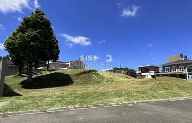 Imagem 10: Terreno cercado pela natureza