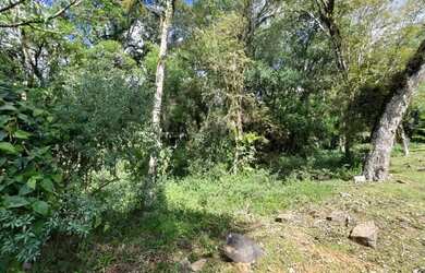 Imagem 3: Terreno em Condomínio - Bairro Pinheiro Grosso