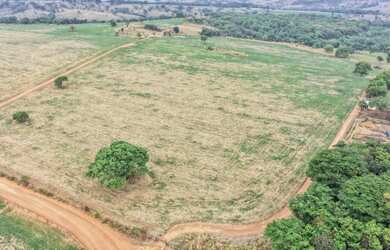 Imagem 5: Fazenda São Bento Bela Vista Goiás 32 Alqueires ou 68.5 alqueires ambos...