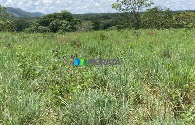 Imagem 3: FAZENDA À VENDA - 190 HECTARES - BURITIS MG