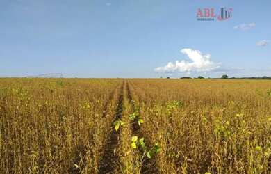 Imagem 7: Fazenda para Venda em Centro Unaí-MG