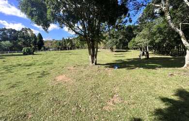 Imagem 13: Sitio - Bairro Tapera. 10.000m² de Área