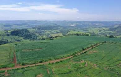 Imagem 5: Fazenda lavoura/pecuária