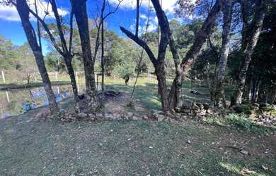 Imagem 6: Sitio - Bairro Tapera. 10.000m² de Área