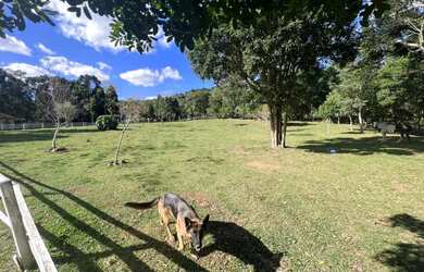 Imagem 14: Sitio - Bairro Tapera. 10.000m² de Área