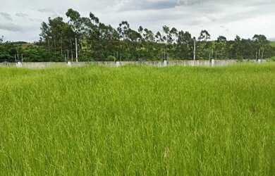 Imagem: O terreno possui 250m² de Área e está localizado em Vale