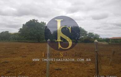 Imagem 11: Fazenda à venda Excelente para Criação de Gados,Caprinos e Ovinos e...