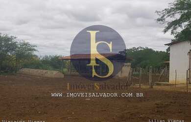 Imagem 9: Fazenda à venda Excelente para Criação de Gados,Caprinos e Ovinos e...