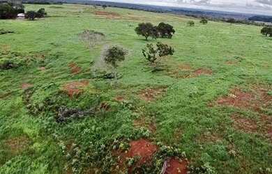 Imagem 6: Fazenda com 392 hectares Município de Filadélfia- TO