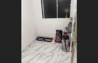 Imagem 14: Alugo apartamento 2qtos 4º andar condomínio fechado Santa Cruz