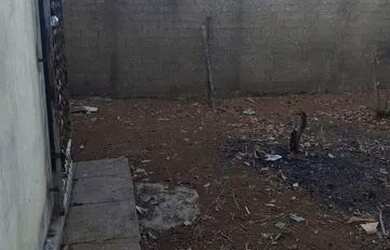 Imagem 7: CASA JARDIM DO CERRADO 4. 2 Vagas na garageme2 Dormitórios