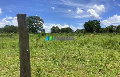 Imagem 2: FAZENDA À VENDA - 190 HECTARES - BURITIS MG