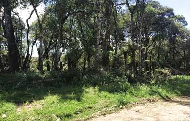 Imagem: O terreno possui 838m² de Área e está localizado em Canela