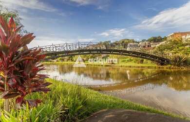 Imagem 10: Casa à venda, Colônia Dona Luíza, Ponta Grossa, PR