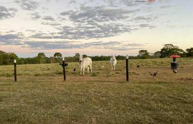 Imagem 4: Fazenda para Venda em Centro Unaí-MG