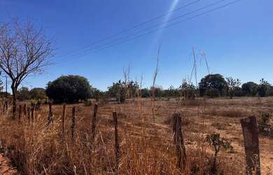 Imagem 4: Fazenda arrendamento 700hec pra abrir em aliança do Tocantins TO