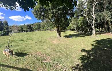 Imagem 4: Sitio - Bairro Tapera. 10.000m² de Área