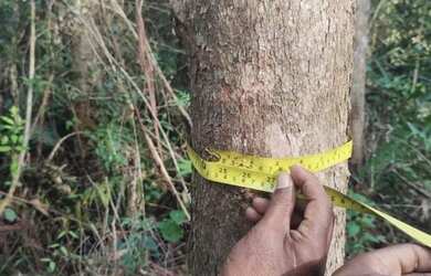 Imagem: A fazenda possui 18.669.816m² de Área, Imóvel novo e está
