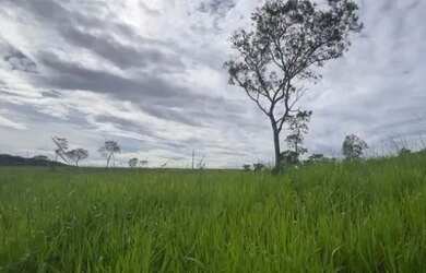 Imagem 4: Sítio monte Carmelo. 