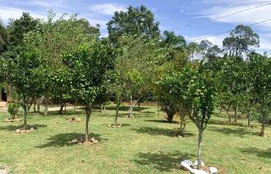 Imagem 11: Sitio - Bairro Tapera. 10.000m² de Área