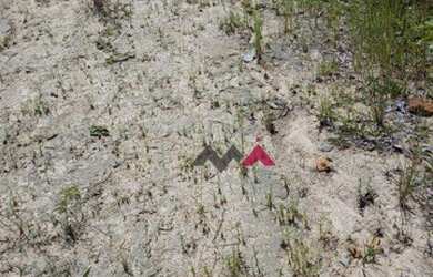 Imagem 5: Fazenda à venda, 137 Alq por R$ 2.740.000 - Zona Rural - Taguatinga/Tocantins