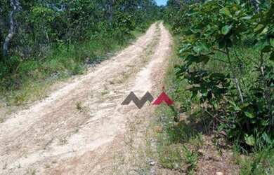 Imagem 12: Fazenda à venda, 137 Alq por R$ 2.740.000 - Zona Rural - Taguatinga/Tocantins