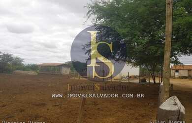 Imagem 10: Fazenda à venda Excelente para Criação de Gados,Caprinos e Ovinos e...