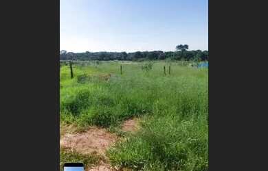 Imagem 4: Vendo terreno. 500m² de Área