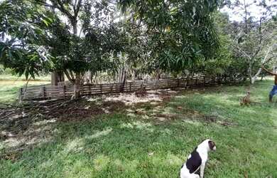 Imagem 6: Vende-se fazenda. 1.200.000m² de Área